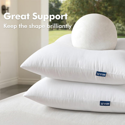 18X18 Outdoor Pillow Inserts - 2 Pack
